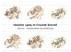 Skeletons on Cracked Earth Clipart Bundle