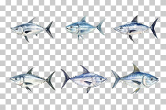 Tuna Fish Marine Life Clipart Bundle - CraftNest - Digital Crafting and Art