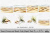 Desert Dunes and Beach Crab Clipart Bundle