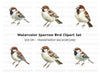 Realistic Sparrow Bird Clipart Bundle