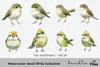 Small Birds Clipart Bundle