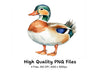 Colorful Mandarin Duck Clipart Bundle