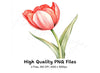 Vibrant Red Tulip Clipart Bundle
