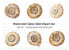 Ammonite Fossil Shell Clipart Bundle
