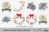 Coastal Seashells Clipart Bundle