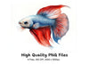 Stunning Betta Fish Clipart Bundle