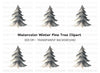 Winter Pine Tree Clipart Bundle