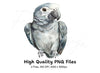 Cute African Grey Parrot Clipart Bundle