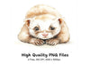 Cute Ferret Clipart Bundle