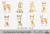 Cute Baby Horse Foal Clipart Bundle