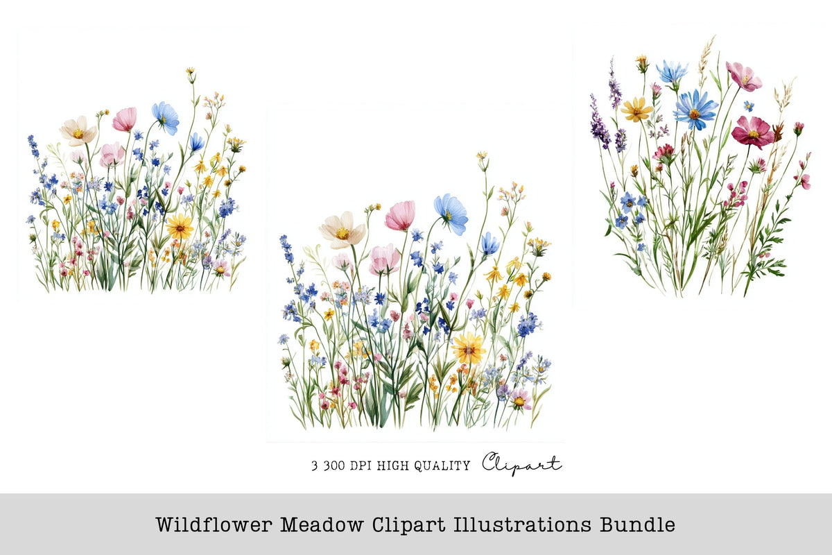 Wildflower Meadow Illustrations Clipart Bundle