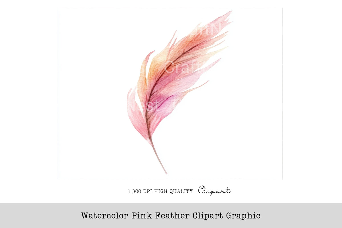 Pink Feather Graphic Clipart Bundle