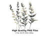 Botanical Clipart Bundle