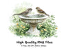 Bird Bath Clipart Bundle