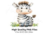 Cute Baby Zebra Clipart Bundle