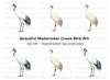 Elegant Red Crowned Crane Clipart Bundle