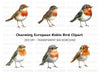 Vibrant European Robin Clipart Bundle