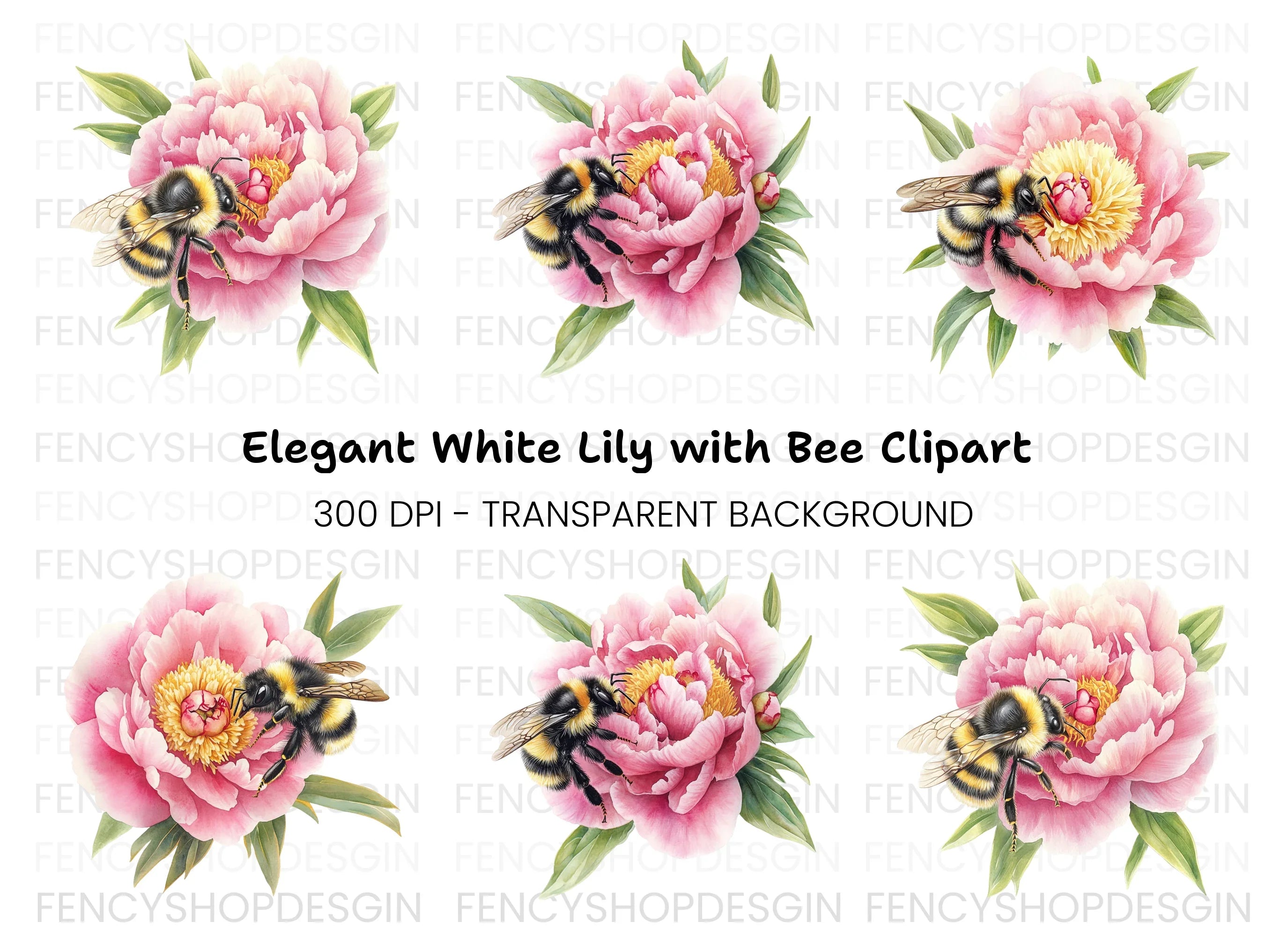 Bumblebees on Pink Peonies Clipart Bundle