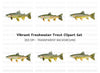 Realistic Brown Trout Fish Clipart Bundle