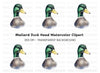 Mallard Duck Head Clipart Bundle