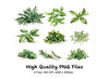 Herbs and Spices Clipart Bundle