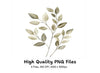 Olive Eucalyptus Clipart Bundle