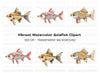 Colorful Fish Clipart Bundle