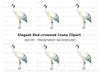 Elegant Red Crowned Crane Clipart Bundle