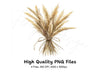 Pampas Grass Bouquets Clipart Bundle