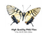 Elegant Swallowtail Butterfly Clipart Bundle