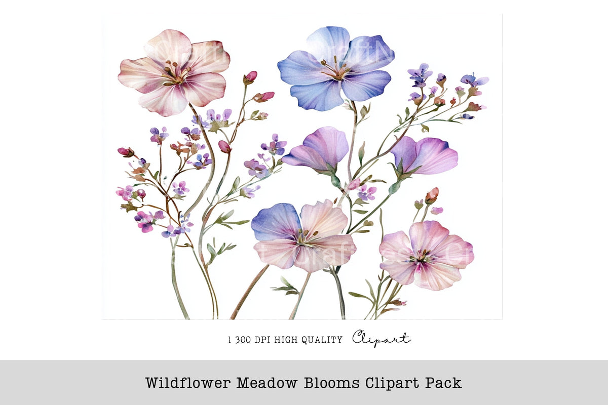 Wildflower Meadow Blooms Clipart Bundle