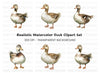 Cute Mallard Duck Clipart Bundle