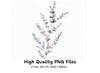 Eucalyptus and Lavender Clipart Bundle