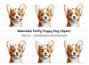 Cute Corgi Puppy Face Clipart Bundle