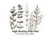 Botanical Clipart Bundle