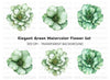 Elegant Green Peony Flower Clipart Bundle