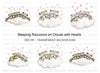 Sleeping Raccoons on Clouds Clipart Bundle