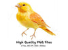 Vibrant Yellow Canary Bird Clipart Bundle