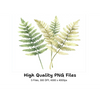 Fern Leaves Clipart Bundle