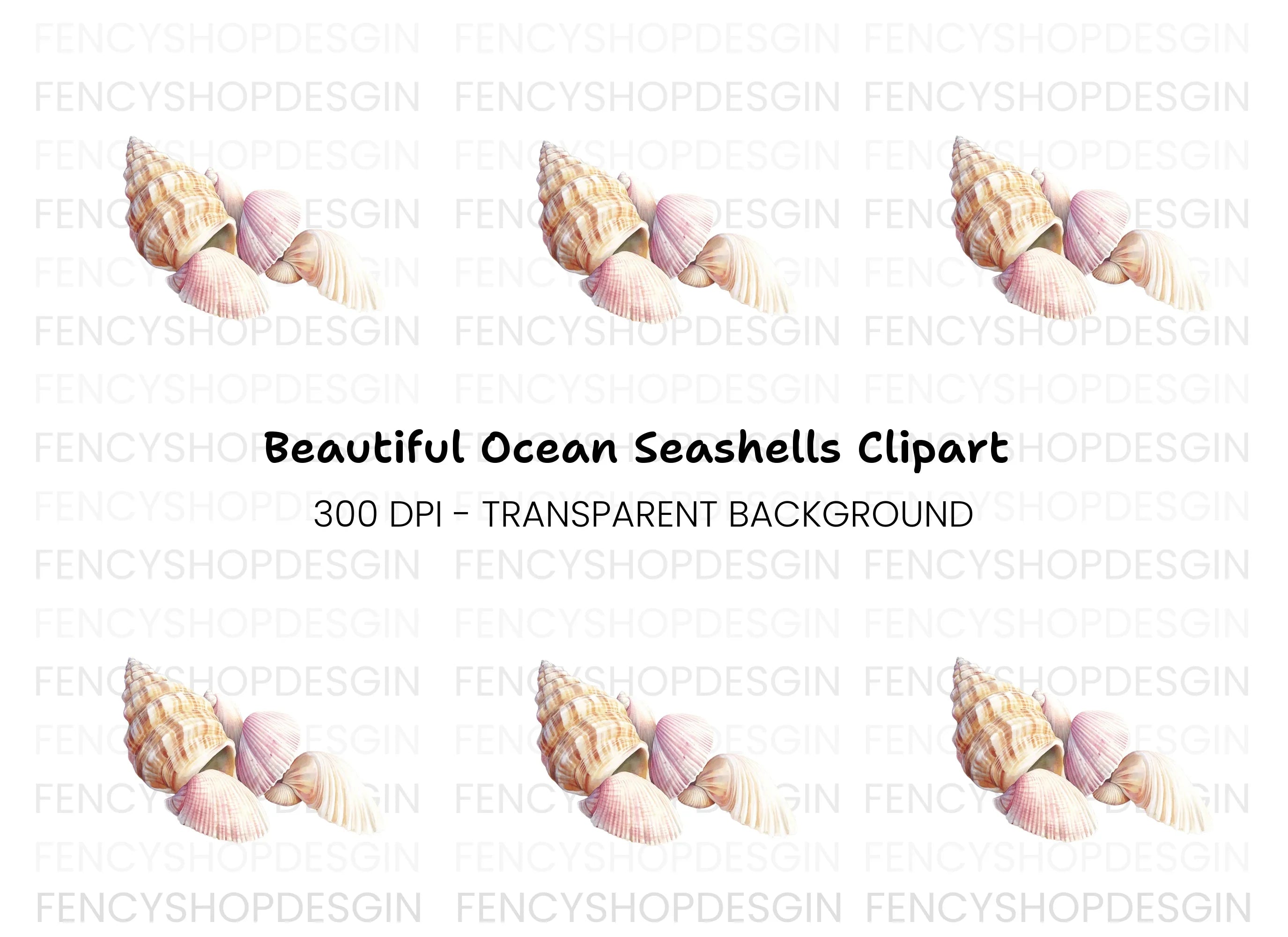 Assorted Beach Shells Clipart Bundle