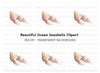 Assorted Beach Shells Clipart Bundle