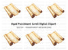 Vintage Scroll Illustration Clipart Bundle