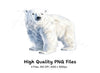 Realistic Standing Polar Bear Clipart Bundle