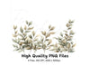 Eucalyptus Greenery Clipart Bundle