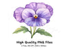 Delicate Purple Pansy Clipart Bundle