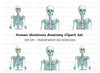 Human Skeleton Clipart Bundle