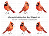 Vibrant Red Cardinal Bird Clipart Bundle