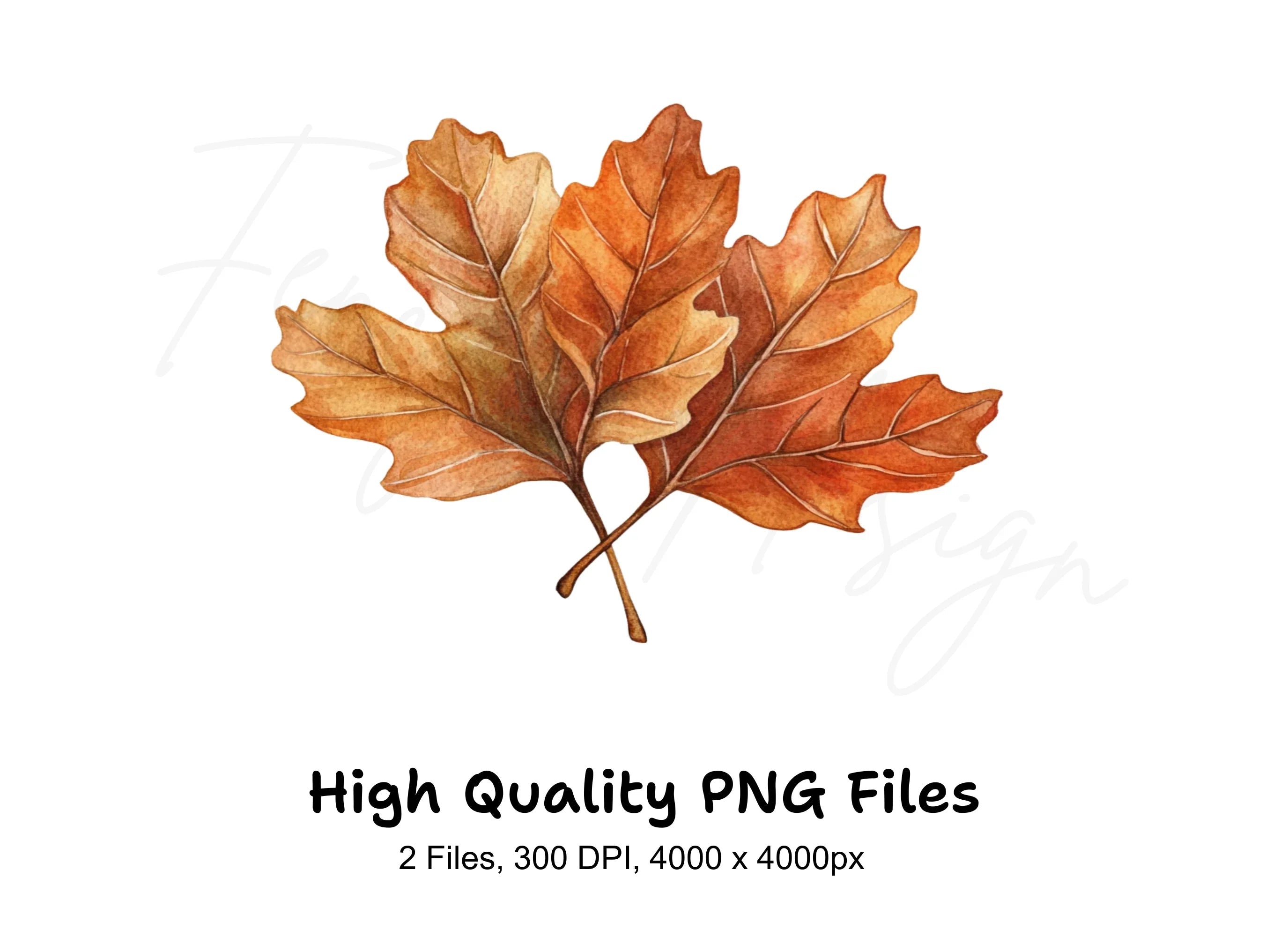 Rustic Brown Autumn Leaves Clipart Bundle