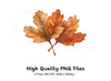 Rustic Brown Autumn Leaves Clipart Bundle