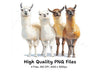 Diverse Llama Group Clipart Bundle
